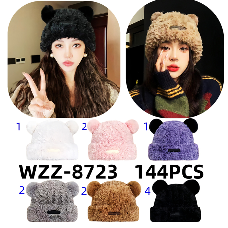 WZZ-8723 CS144
